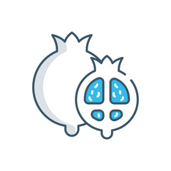 Pomegranate vector icon