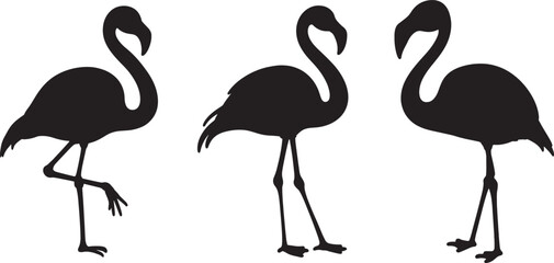flamingo vector silhouette, Vector black flamingo silhouette, Black silhouette of tropical bird flamingo © mdjahidhossain0886