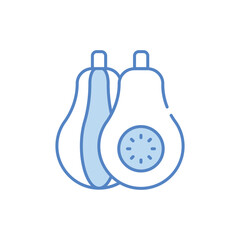 Squash vector icon