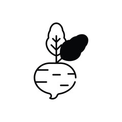 Beetroot vector icon