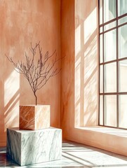 A minimalist interior scene featuring a decorative branch on geometric stone pedestals.