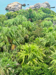 クバンダキ展望台