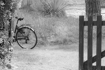 old bicycle and fence