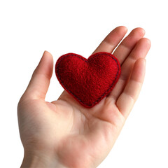 Obraz premium heart in hand with cut out background