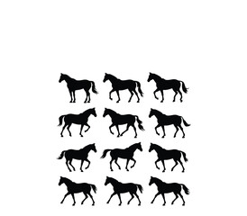 Horse Silhouette  Bundle  Beautiful horse vector design with white background