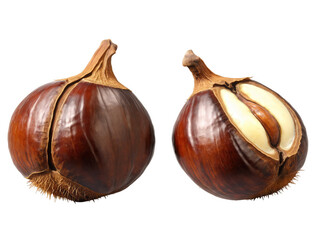 Obraz premium Chestnuts (Castanea) Shiny brown chestnuts with a hard shell and creamy, sweet flesh, roasted, boiled, or mashed into soups