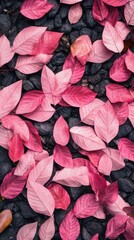 Pink Autumn Leaves on Black Pebbles