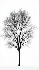 Solitary Bare Tree in Winter Snowscape