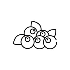Berries  vector icon
