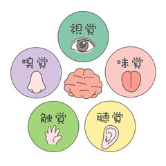 五感　脳　イラスト　アイコン　視覚　嗅覚　味覚　聴覚　触覚