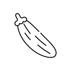 Zucchini vector icon