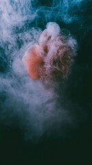 Obraz premium Abstract Smoke and Flower Petals Ethereal Mystical Dreamy Background