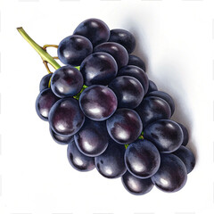 Fresh purple and navy blue grapes on white background