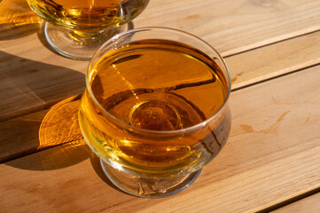 Tasting of french apple cider brut in glass made from new harvest apples outdoor in sunny orchard