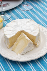 French soft Camembert cheese, original Camembert de Normandie, close up with white mold