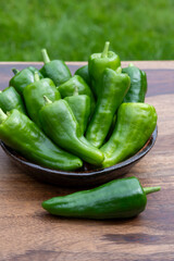 Padron green Spanish pepper or Herbón pepper landrace variety of pepper Capsicum annuum from  municipality of Padron in northwestern Spain