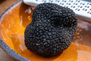 Delicious mushrooms, fresh black summer truffle mushroom and grater for making truffle dishes with tasty aroma