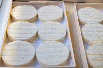 Rocamadour or cabecous soft goat AOC cheese with soft rind produced on farm in Perigord and Quercy on farmers market, departement Lot, France
