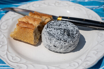 Picnic with cheese and baquette bread, French Cendre Lait cru Chevre cheese made from goat milk with ash in France served outdoor