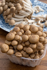 Brown shimeji edible mushrooms native to East Asia, buna-shimeji is widely cultivated and rich in umami tasting compounds