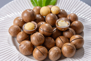Australian Queensland macadamia nuts, or bush, maroochi, bauple nut, with sawn nutshell, fresh harvest