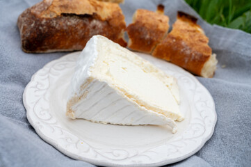 Delice de Bourgogne French cow's milk cheese from Burgundy region of France close up