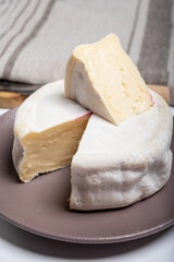 Cheese collection, French reblochon de savoie gratin cow milk cheese close up