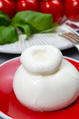 Cheese collection, fresh soft white burrata cheese ball made from mozzarella and cream from Apulia, Italy, close up