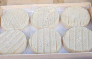 Rocamadour or cabecous soft goat AOC cheese with soft rind produced on farm in Perigord and Quercy on farmers market, departement Lot, France
