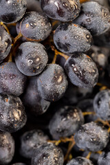 fresh grapes are lying on black paper
