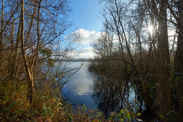 Pond in the Sorques plain sensitive natural area. French Gâtinais Regional Nature Park