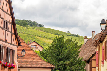 Vue sur les vignobles depuis le centre du village de Turckheim. 