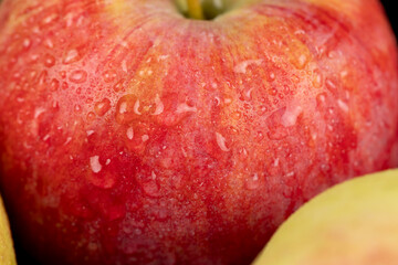 fresh crunchy apple with red and green peel