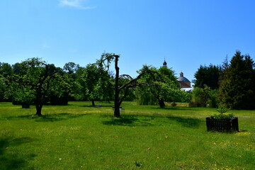 A view of a beautiful, well-maintained garden full of decorative trees, shrubs, benches, old red brick walls, herbs, rocky paths and having a small pond with Lilly pads and reeds in the very center