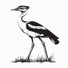 Standing Kori Bustard Bird image vector. Black and white Kori Bustard Bird image isolated on white background.