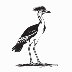 Kori Bustard Bird image vector. Black and white Kori Bustard Bird image isolated on white background.