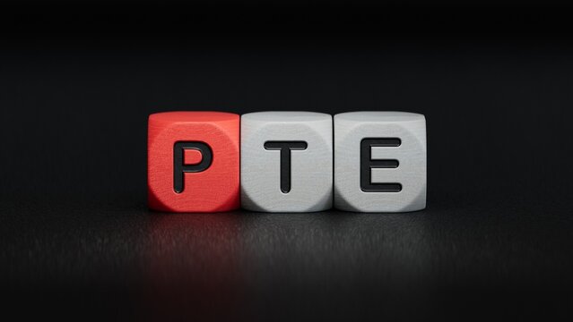 Three wooden blocks with the letters PTE.close up of wooden elements,Business Concept.3D rendering on black background.