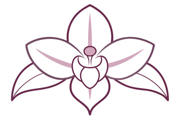 orchid flower line art colour vector design illustration