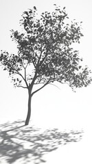 A Striking Silhouette of a Majestic Tree, Capturing the Essence of Nature's Tranquility in a Minimalist Artistic Masterpiece