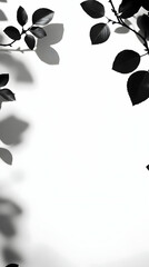 Black Leaf Silhouette Illustration