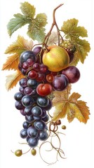 Obraz premium A Detailed and Exquisite Still Life of Grapes, Apples, and Plums - A Rich and Vibrant Display of Nature's Bounty