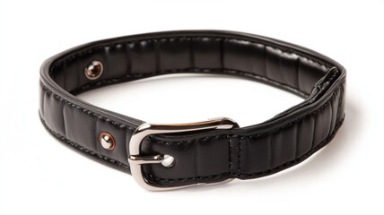 Fashionable pet Collar on white background, advertising photo
