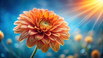 A single orange flower basking in the warm glow of the sun, its petals radiating with delicate beauty and vibrant color.