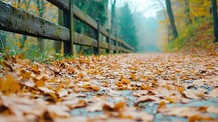 Fototapeta premium Serene Autumn Pathway with Colorful Fallen Leaves and Wooden Fence in Misty Forest