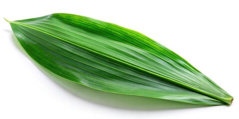 Obraz premium Fresh Pandan Leaf Portion - White Background - Copy Space