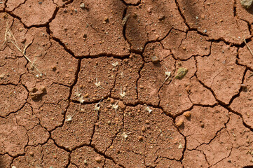 dry cracked earth