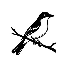 A black and white illustration of a bird perched on a branch.  Simple, elegant design, perfect for nature-themed projects or branding.