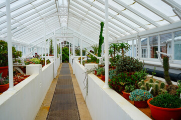 View of a large white greenhouse growing plants 