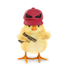 Crazy cute cool chick baby animal with dangerous cap and golden gun funny conceptual image