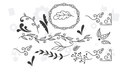 Botanic set of detailed various flowers and brunch. Luxury vintage floral collection for wedding invitation, wallpaper art or save the date card. Botanical vector illustration